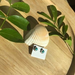 Turquoise earrings with sterling silver details